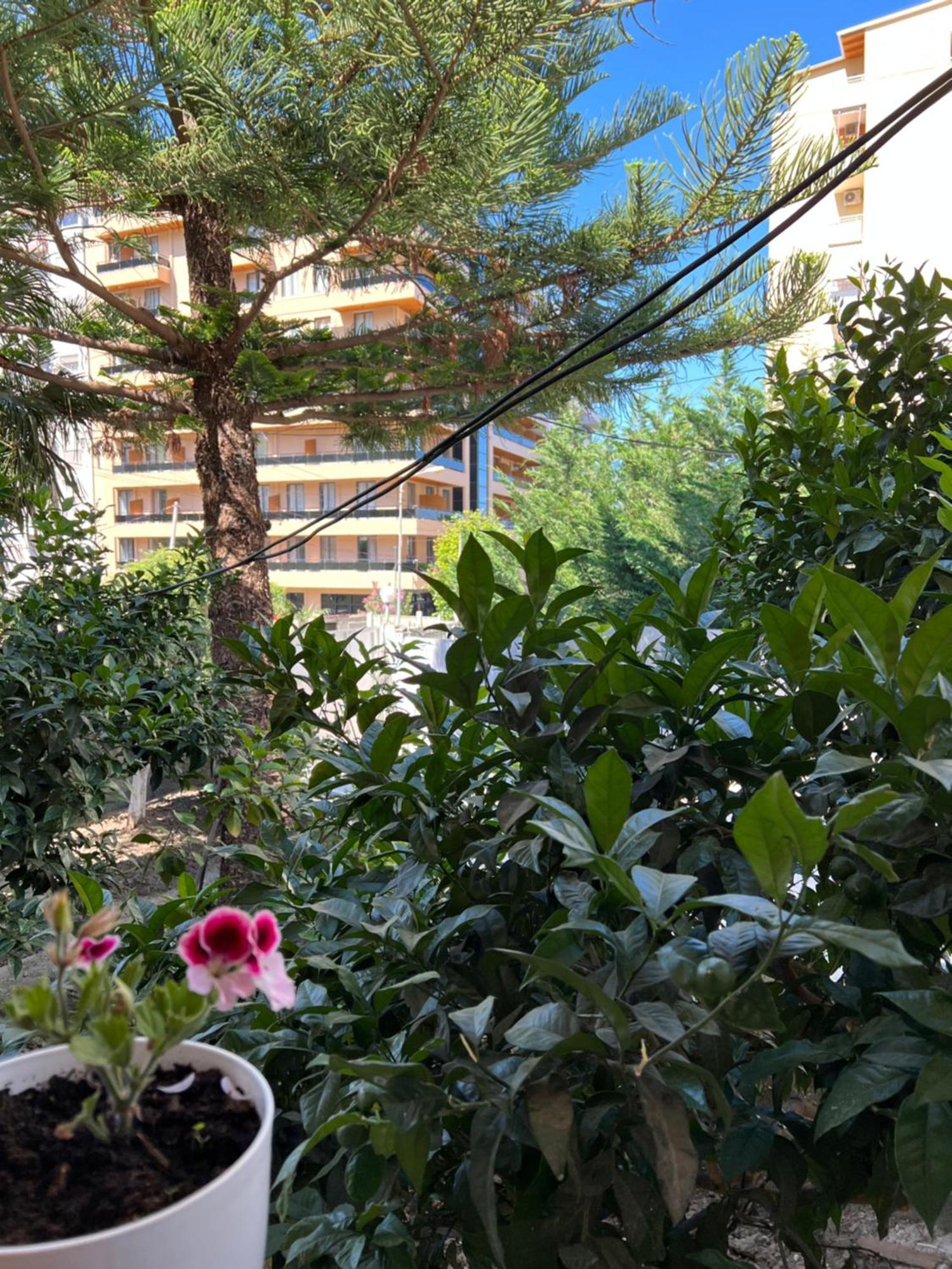 Villa Green *